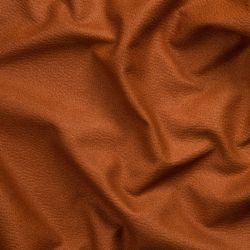 Ткань мебельная Bison 08 Orange