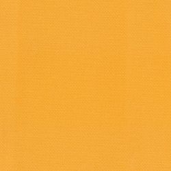 Ткань мебельная Ringo 09 Saffron